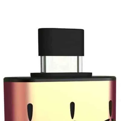 AirVape XS Mouthpiece