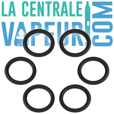 Chamber O-rings pour Convector