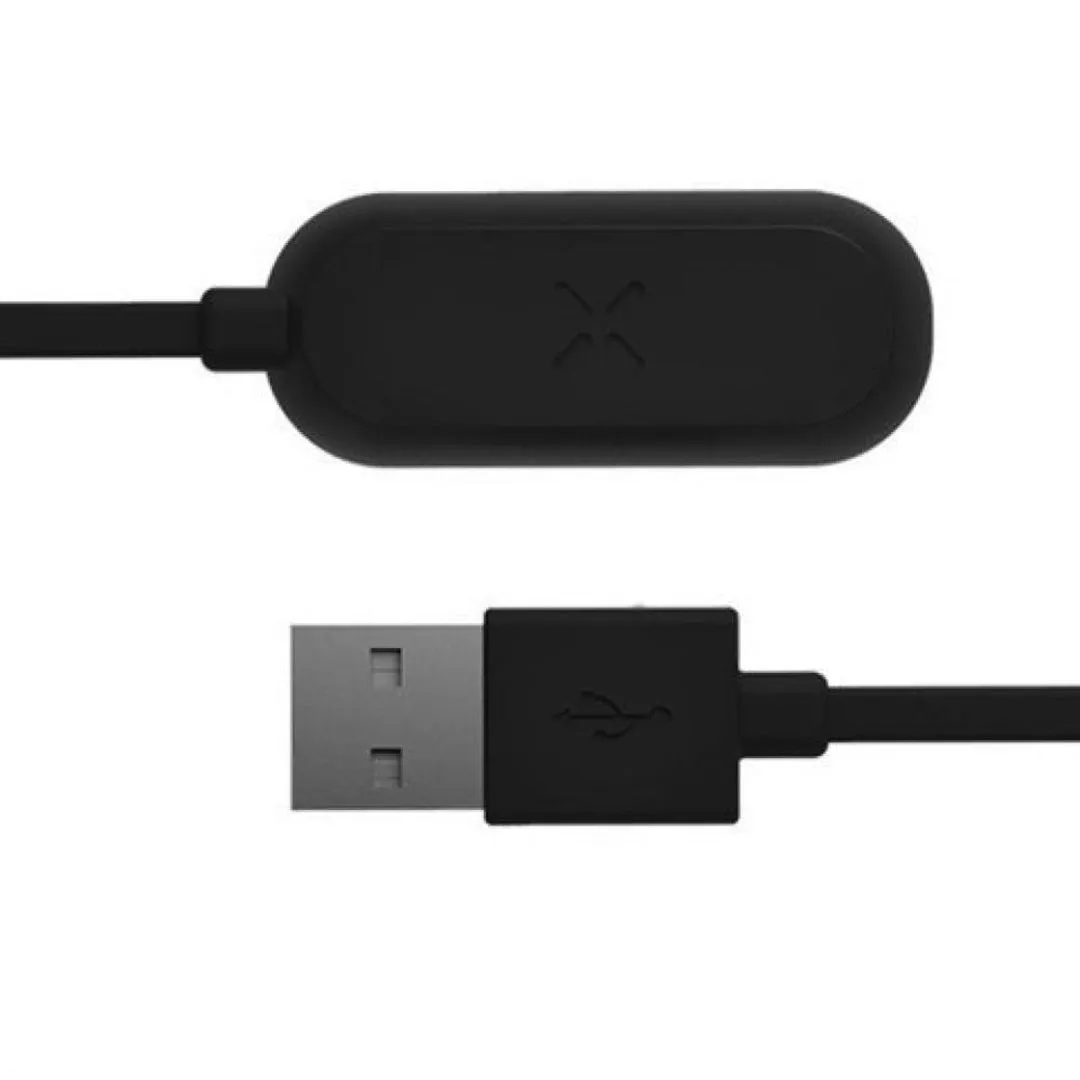 Charger Mini PAX