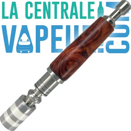 Dani Fusion Artemis Stem