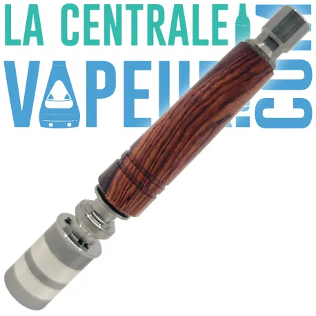 Dani Fusion Mini Stem