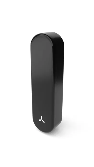 Estuche AirVape Xs Go