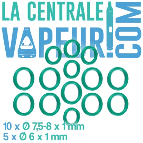 Grand set de joints Dani Fusion