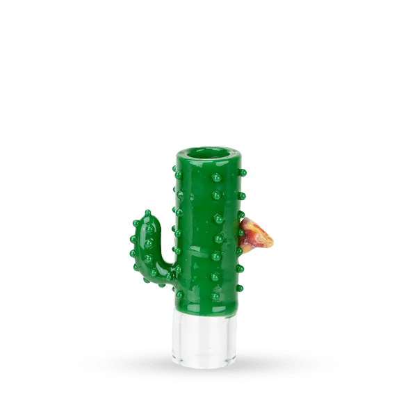 Hose Tip Cactus
