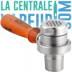 Jane Male Flower Diffuser