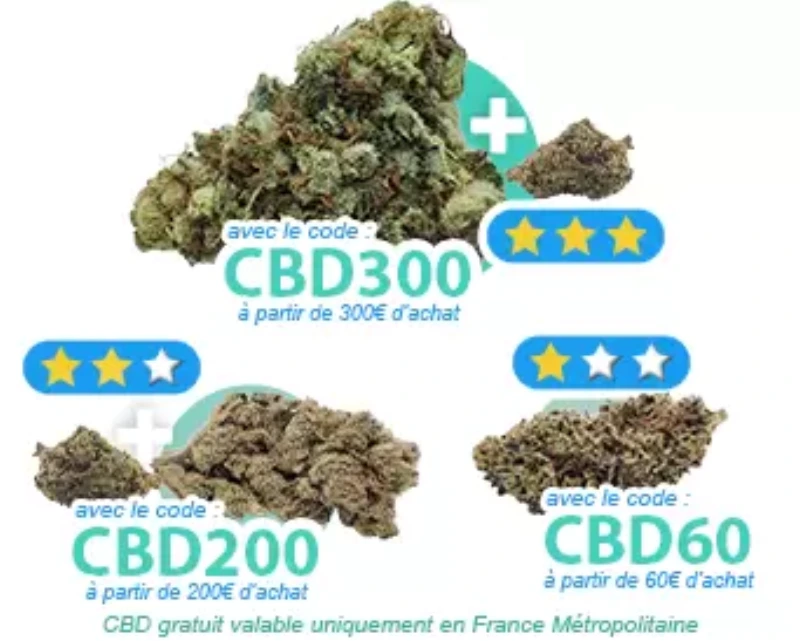 Katalyzer Starter Pack