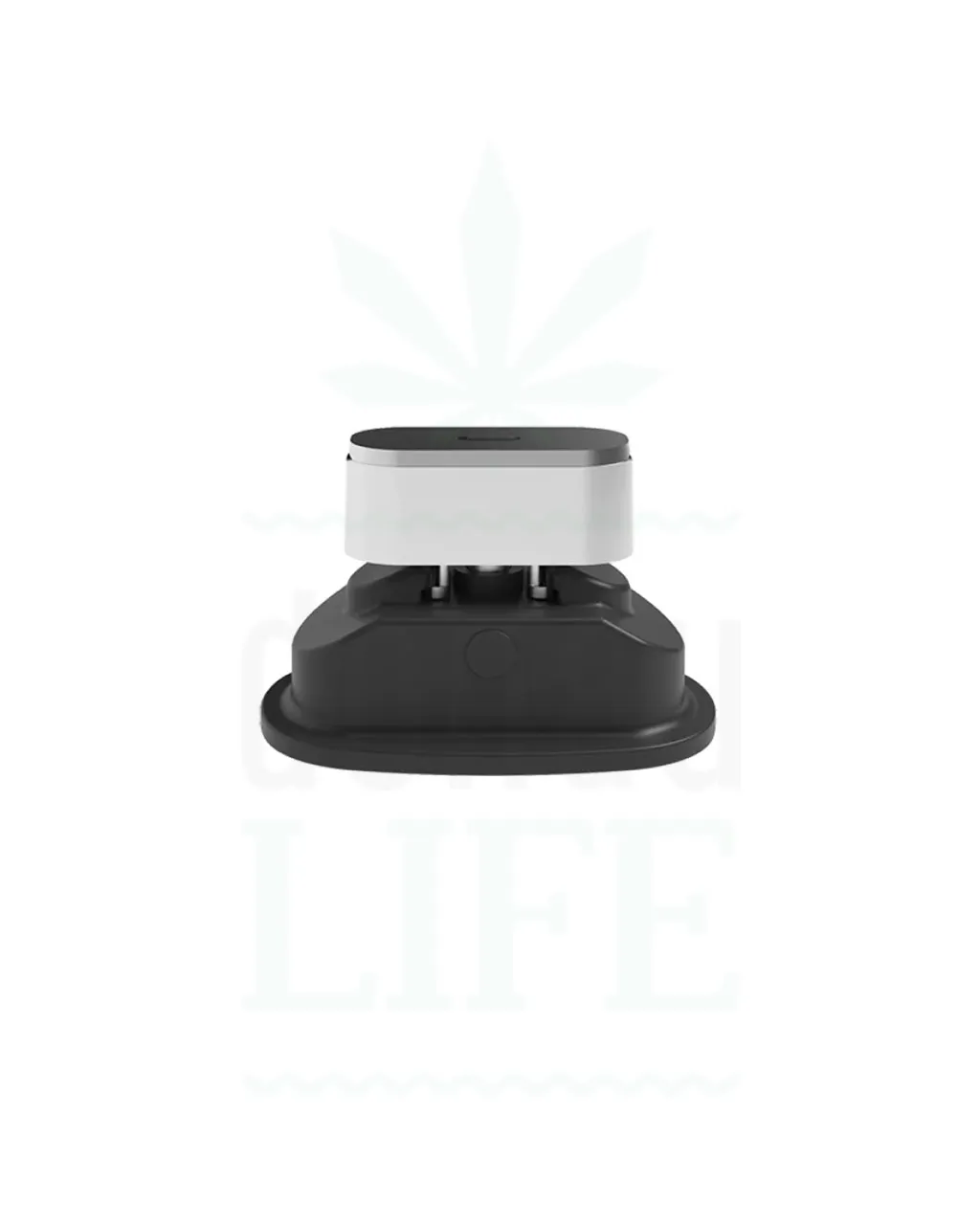 PAX 3 / PAX Plus Konzentrat Erweiterung