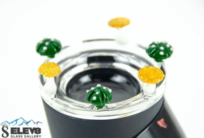 SSV Glass Open Aroma Top Dish by GMAY Glass