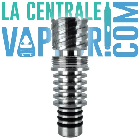 Stainless Steel Tip The Dani 3