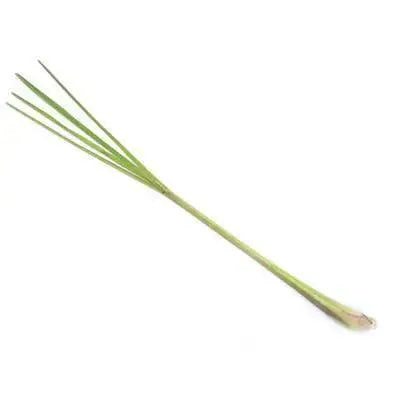 Take-roots Zitronengras BIO 15g