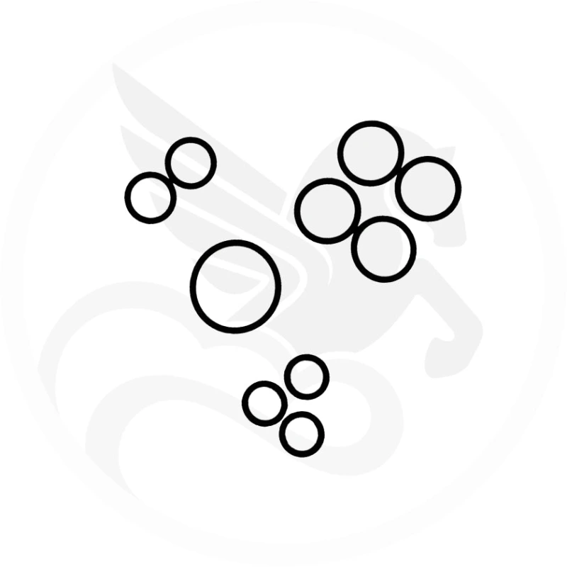 Vestratto USA O-Ring Set