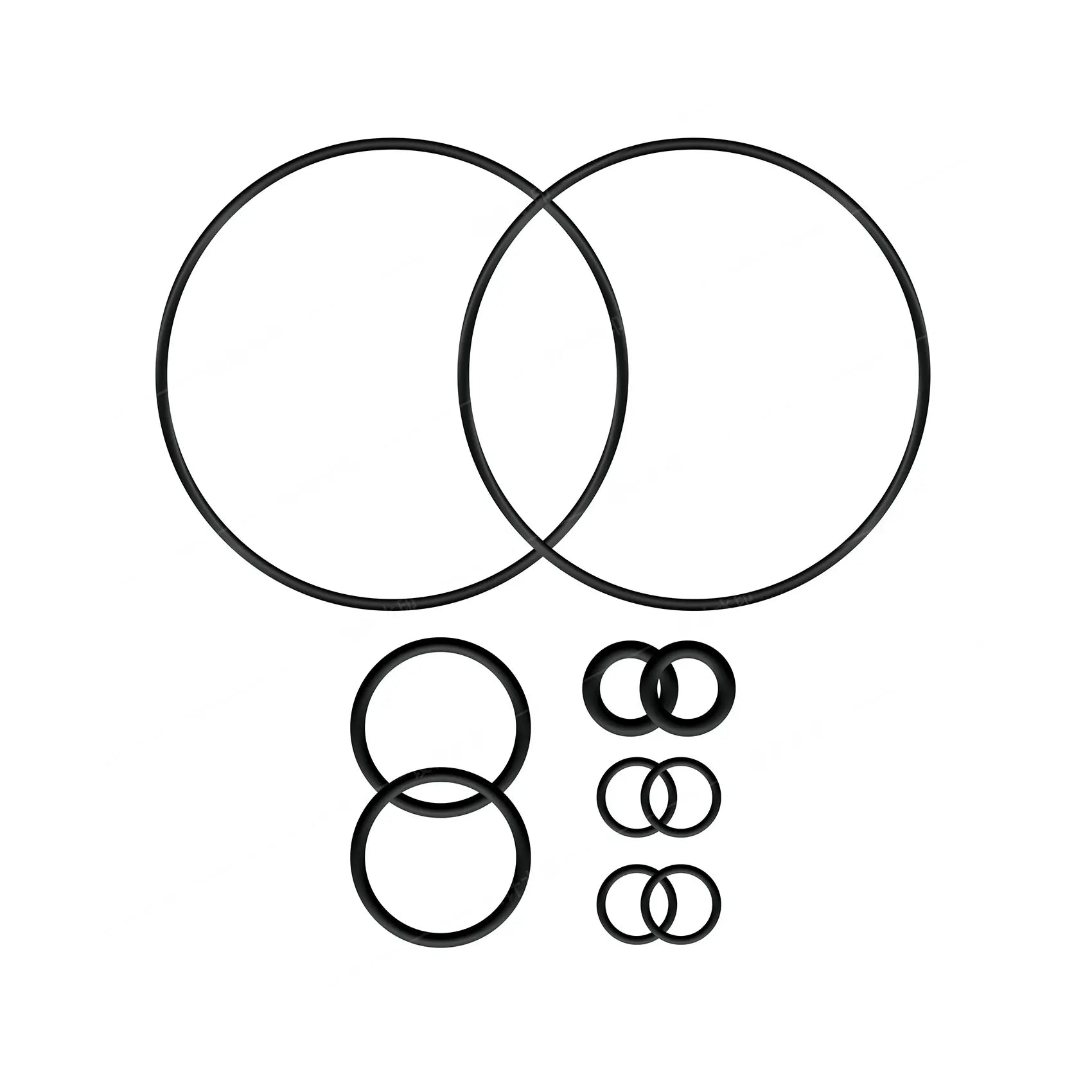 Wolkenkraft - LIVE Seal Ring Set