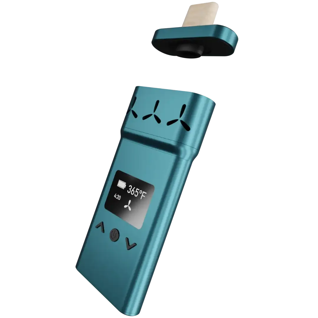 X — Royal Edition widok z boku