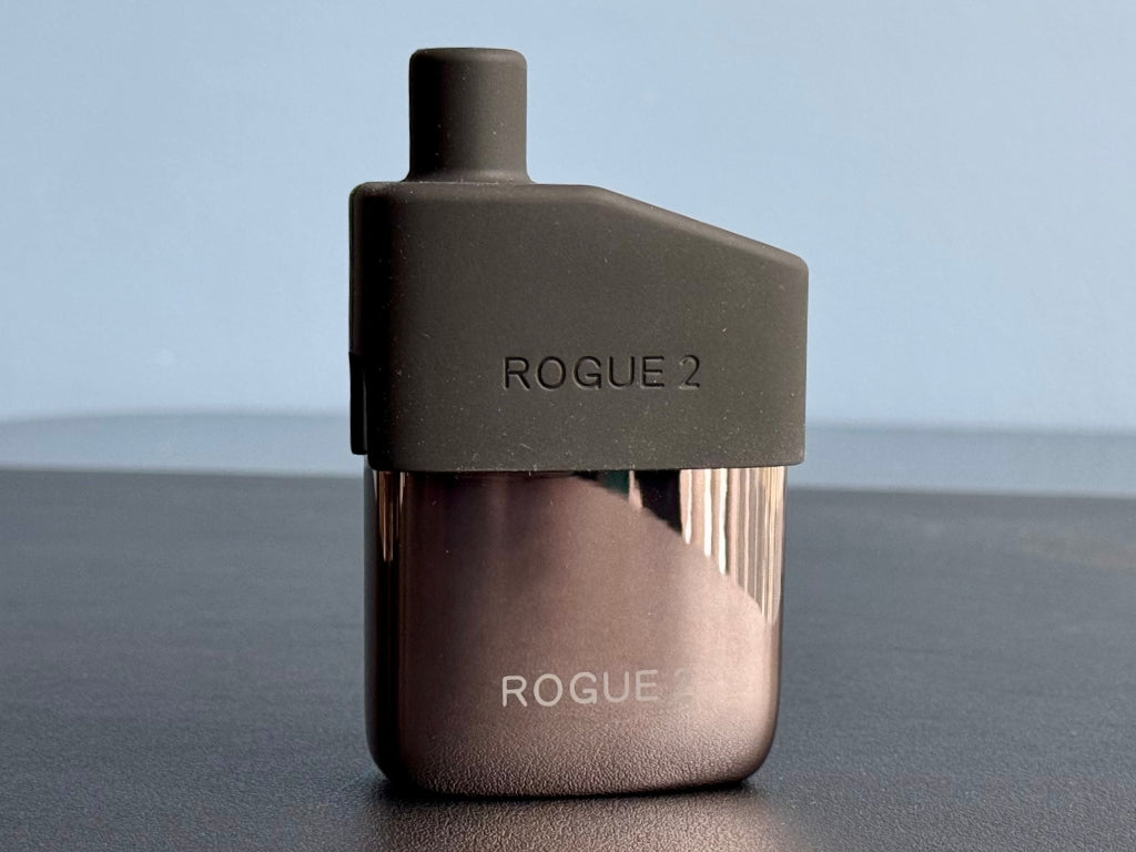 Healthy Rips Rogue 2 Detailansicht