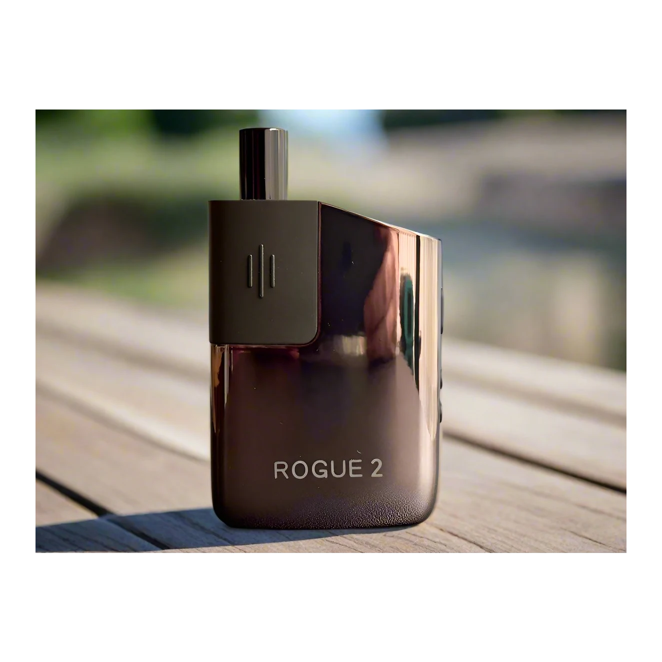 Rogue 2