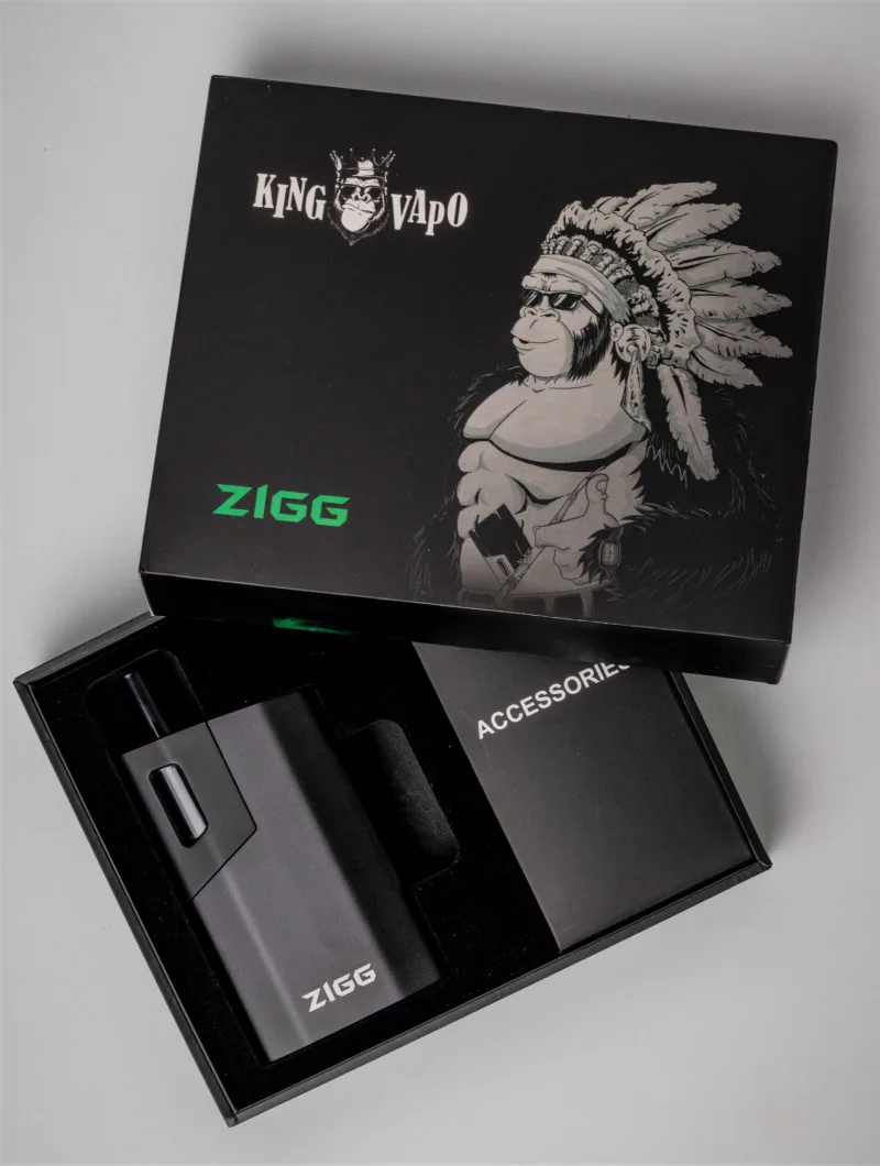 KingVapo Zigg 2.0