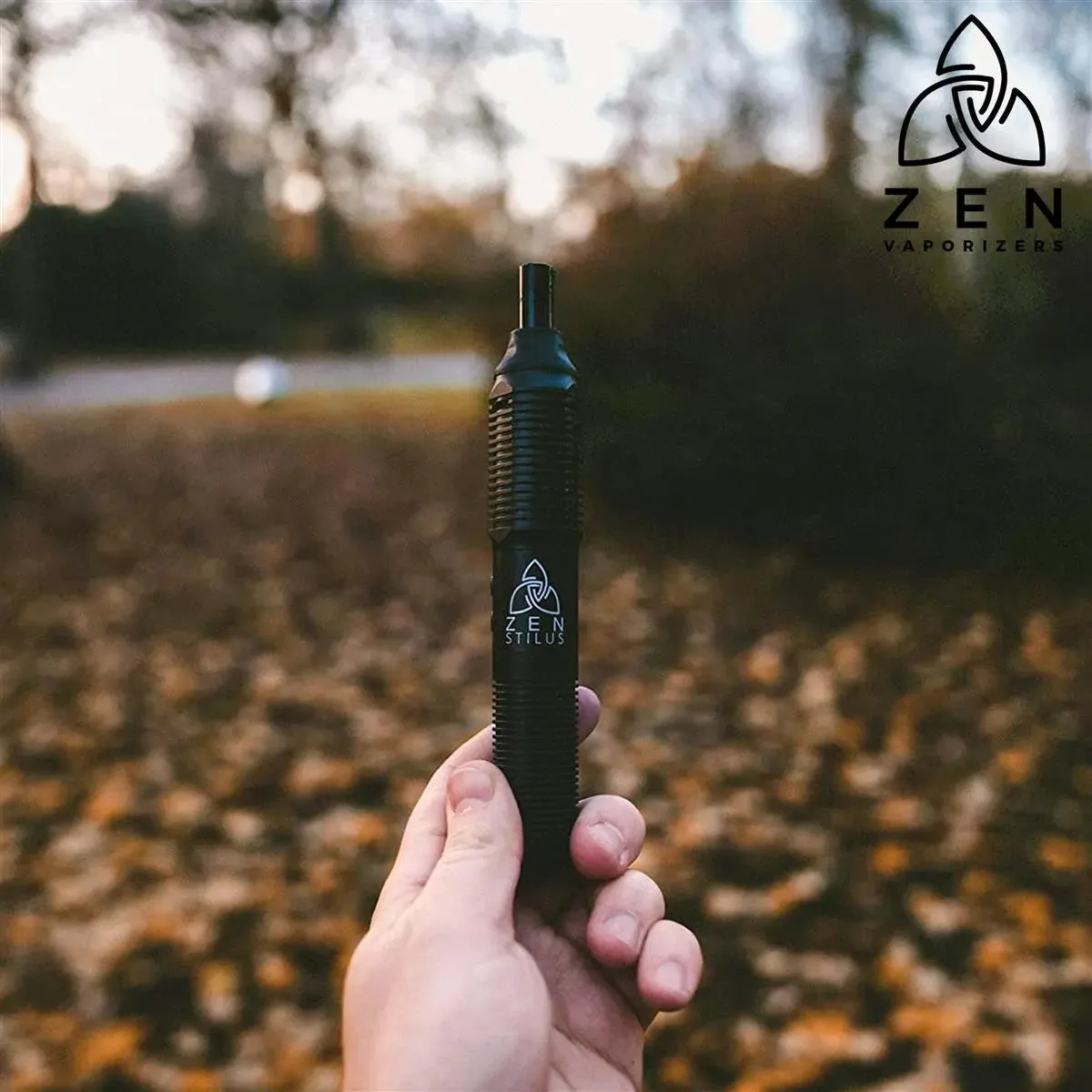 ZEN Stilus accesorios