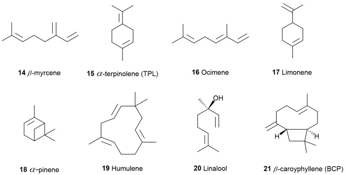 Terpene Compounds in Cannabis