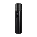 Arizer Air MAX im Einsatz